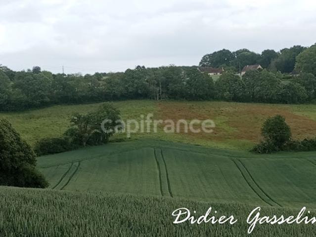 Vente Terrain agricole 249400 m2 Brunelles