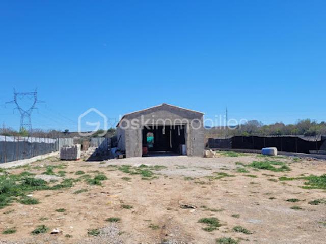 Vente Terrain agricole 2730 m2 Paulhan