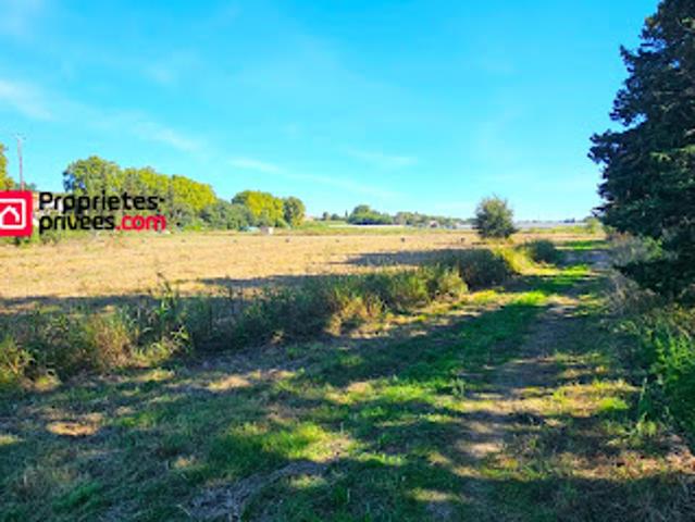Vente Terrain 29154 m2 Elne