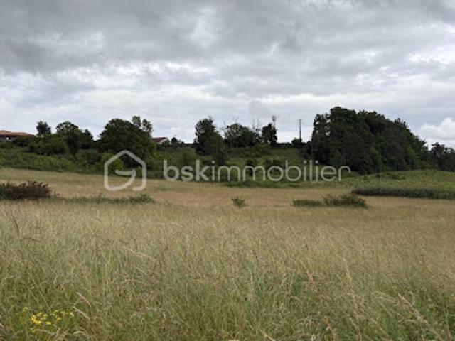 Vente Terrain agricole 20035 m2 Rouffignac de Sigoulès
