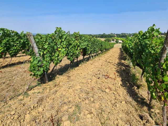 Vente Terrain agricole 20 497 m²