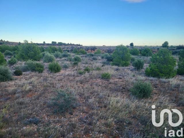 Vente Terrain agricole 21 840 m²
