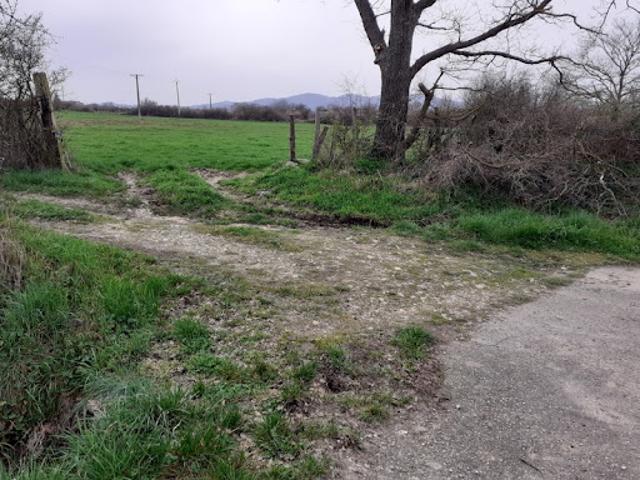 Vente Terrain 23055 m2 Beauvallon