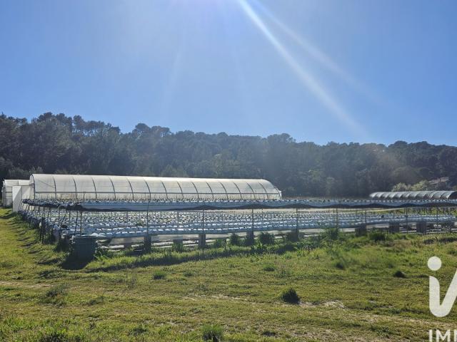 Vente Terrain agricole 2 806 m²