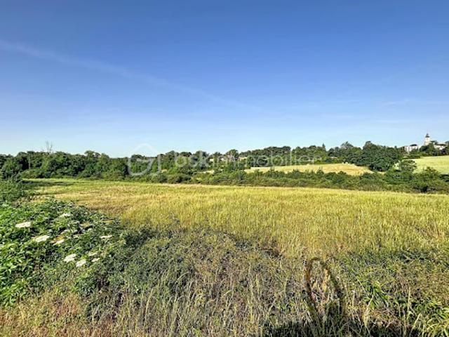 Vente Terrain agricole 36469 m2 Faye l'Abbesse