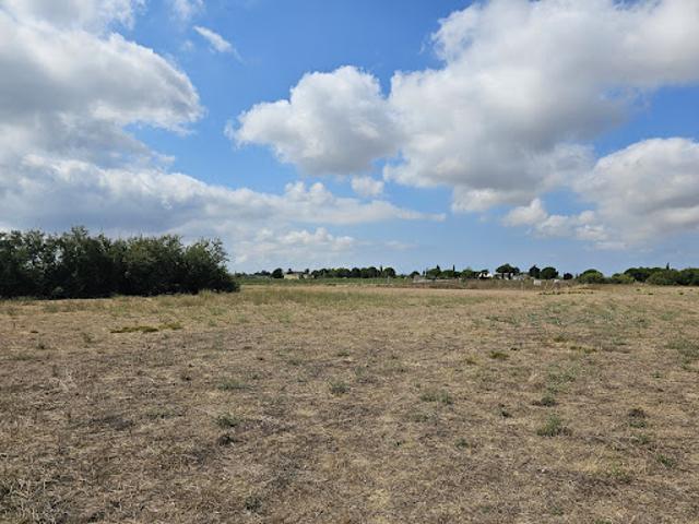 Vente Terrain agricole 3652 m2 Saint Laurent d'Aigouze
