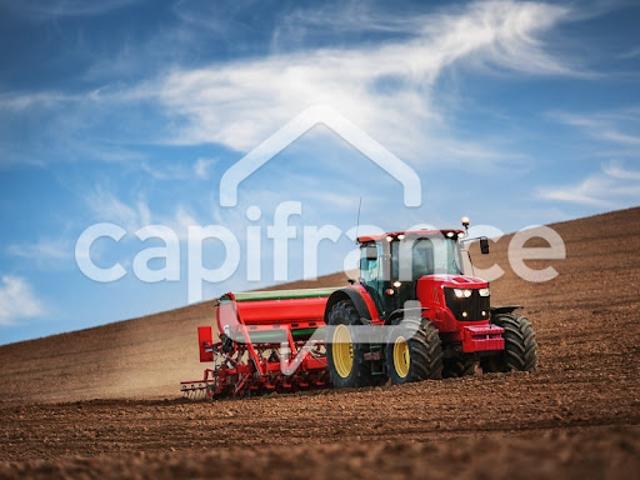 Vente Terrain agricole 36910 m2 Claira