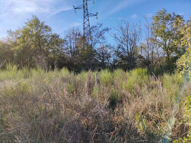 Vente Terrain agricole 44144 m2 Prades