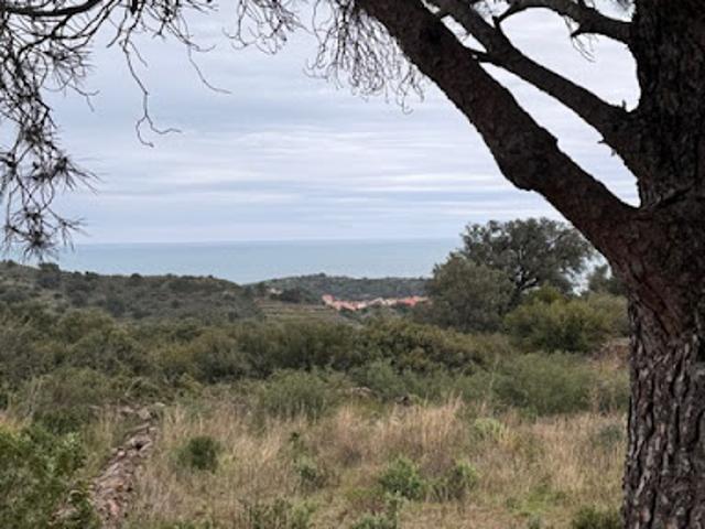 Vente Terrain agricole 4480 m2 Port Vendres