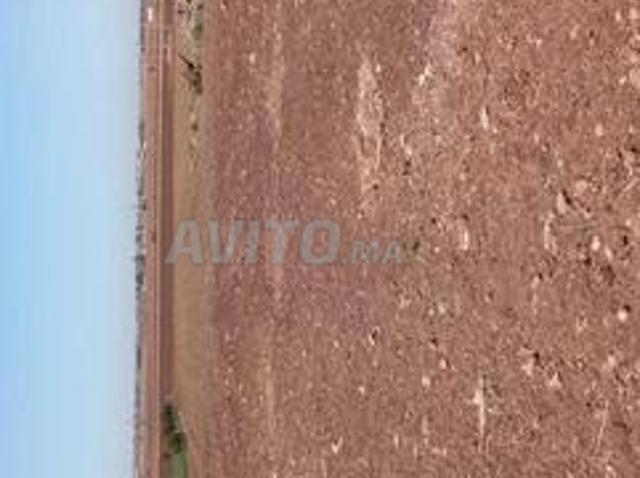 Vente terrain agricole