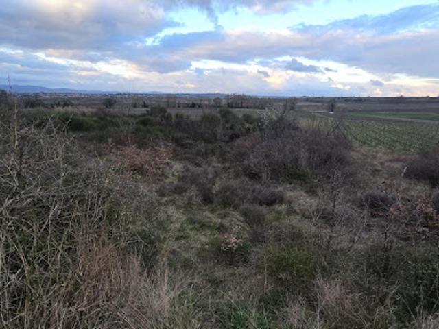 Vente Terrain agricole 4177 m2 Pailhes