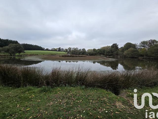Vente Terrain agricole 41945 m2 La Tessoualle