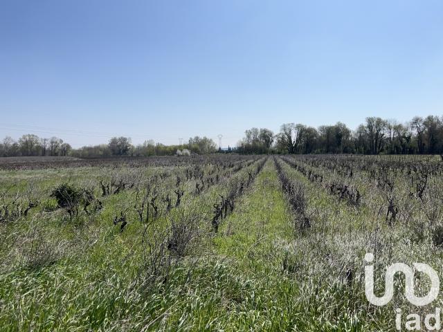 Vente Terrain agricole 5 975 m²