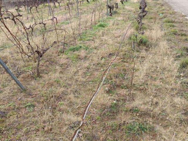 Vente Terrain agricole 65 360 m²