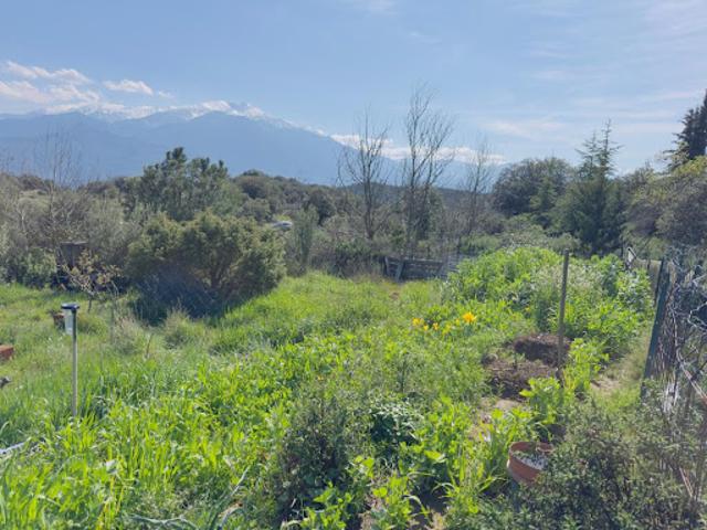 Vente Terrain agricole 6640 m2 Arboussols
