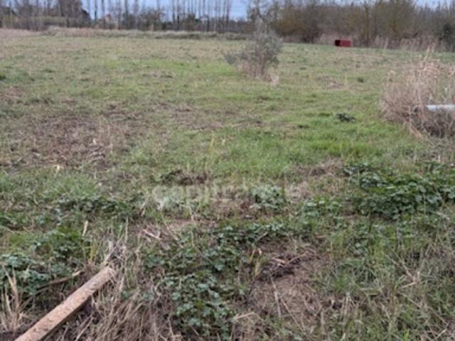 Vente Terrain agricole 6250 m2 Narbonne