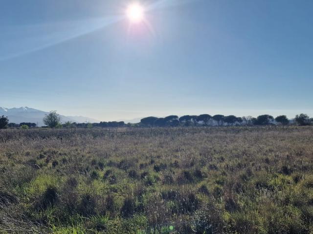 Vente Terrain agricole 6 360 m²