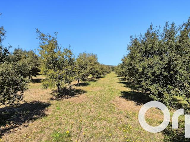 Vente Terrain agricole 7775 m2 Laval Saint Roman