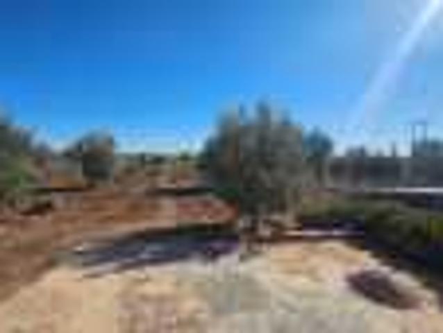 Vente terrain agricole