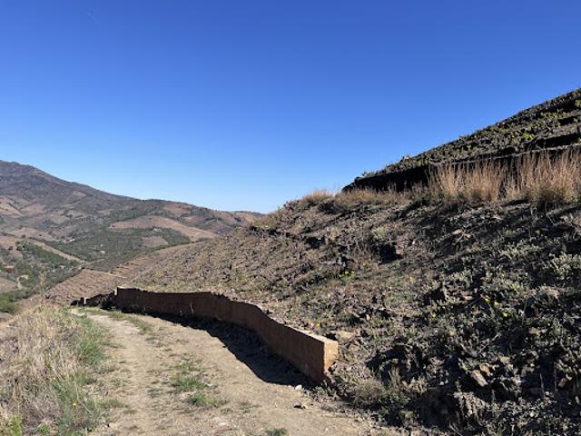 Vente Terrain agricole 7900 m2 Banyuls sur Mer