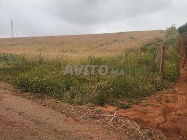 Vente terrain agricole