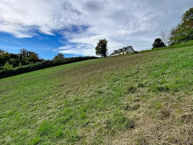 Vente Terrain agricole 7 995 m²