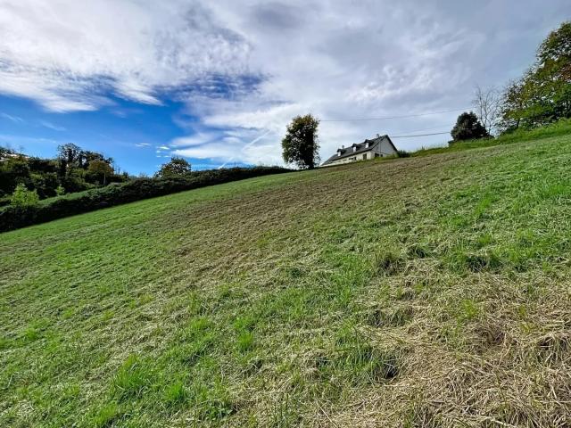 Vente Terrain agricole 7 995 m²