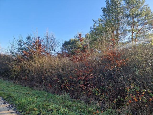 Vente Terrain agricole 9590 m2 Chatillon sur cher