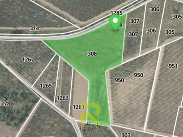 Vente Terrain agricole 9750 m2 Raissac d'Aude