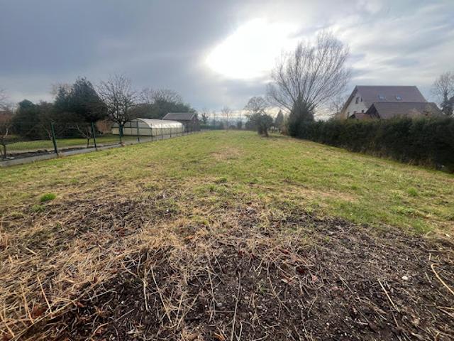 Vente Terrain constructible 1885 m2 Ebersmunster