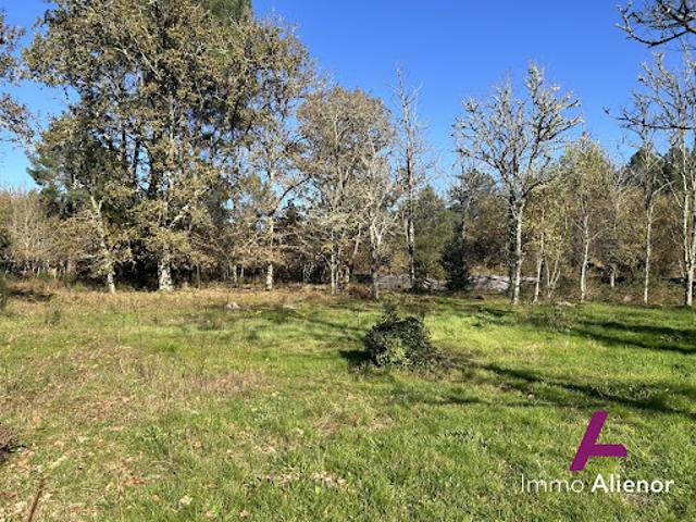 Vente Terrain constructible 0 m2 Origne