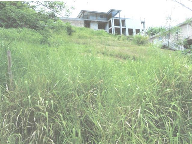 Vente Terrain constructible 0 m2 Sainte luce