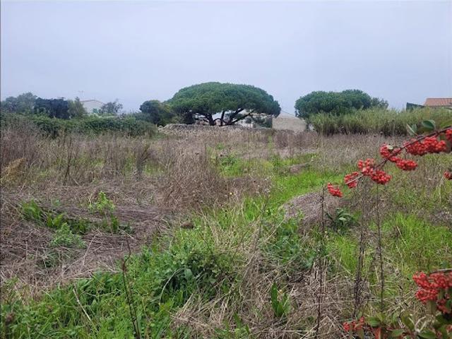 Vente Terrain constructible 0 m2 Sainte Marie de Ré