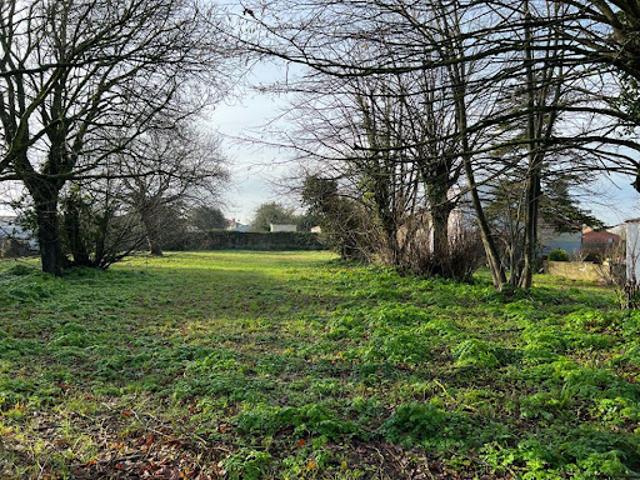 Vente Terrain constructible 1053 m2 Saint Pierre d'Oléron
