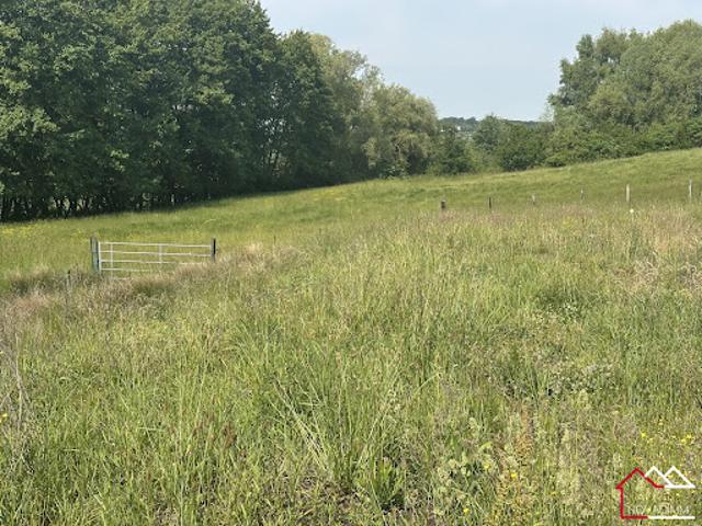 Vente Terrain constructible 1080 m2 Maizeroy