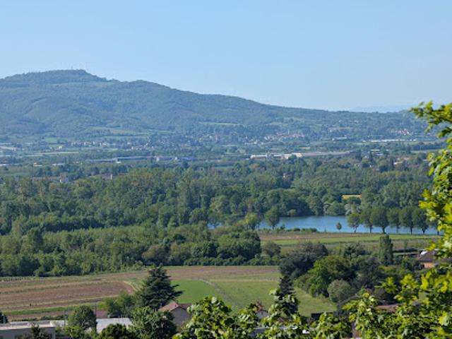 Vente Terrain constructible 1090 m2 Trévoux