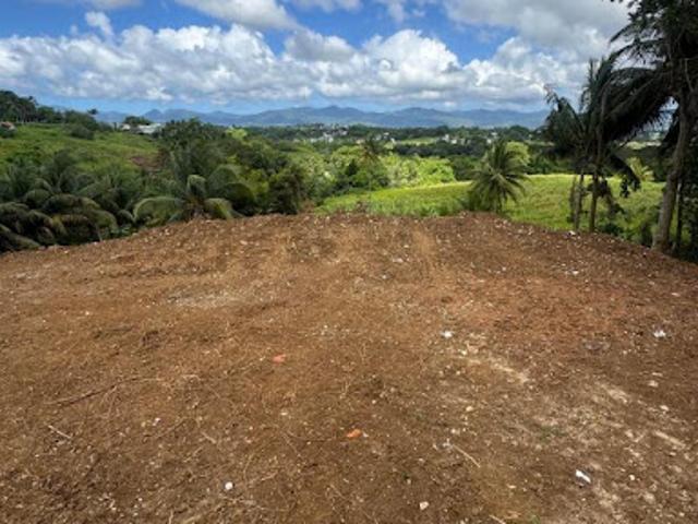 Vente Terrain constructible 1000 m2 Baie mahault