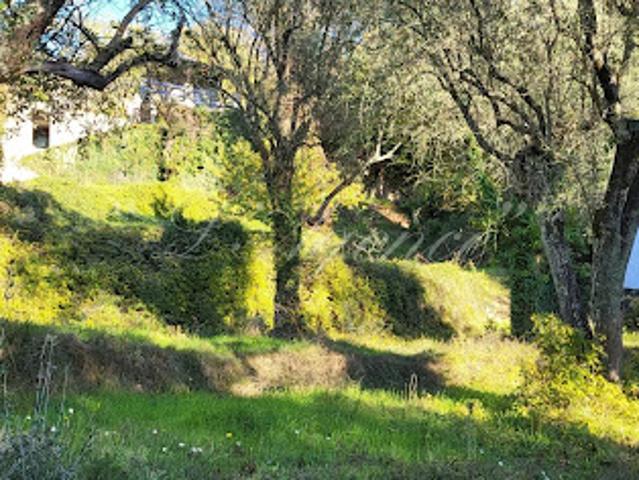 Vente Terrain constructible 1000 m2 Contes