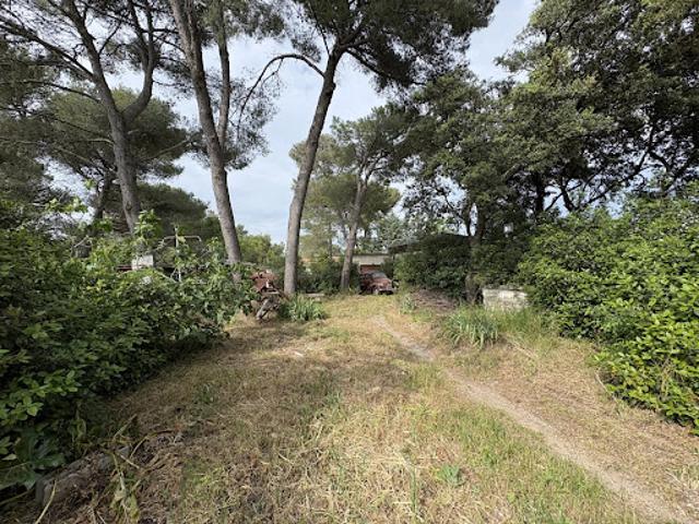 Vente Terrain constructible 1000 m2 Langlade