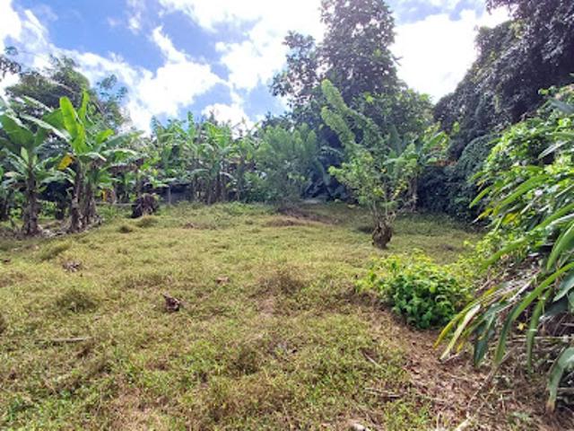 Vente Terrain constructible 0 m2 Le lamentin