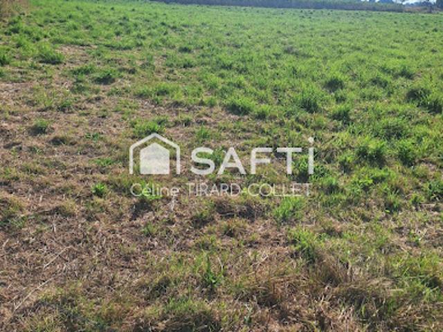 Vente Terrain constructible 1000 m2 Penly