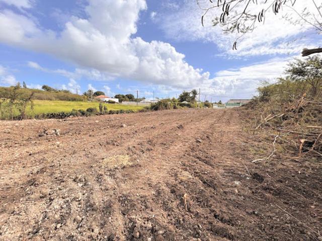 Vente Terrain constructible 1000 m2 Saint François