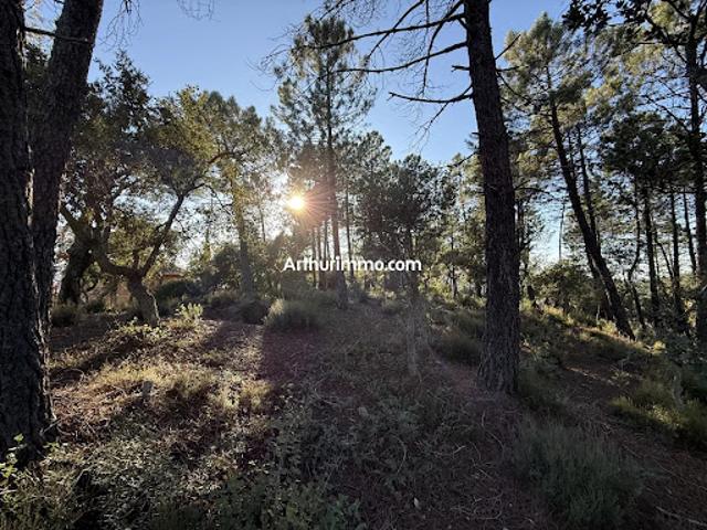 Vente Terrain constructible 1001 m2 Vidauban