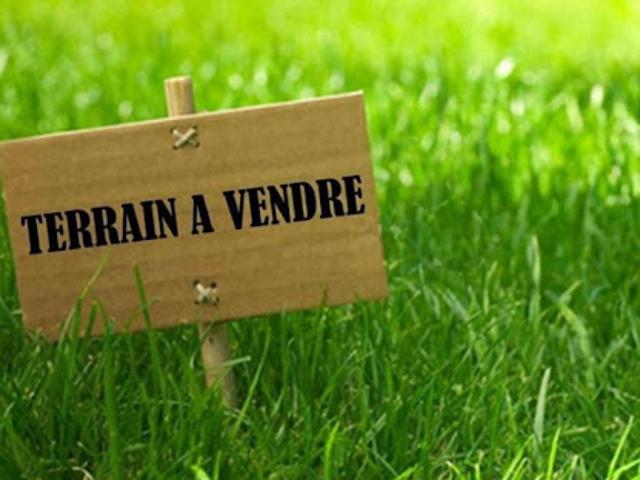 Vente Terrain constructible 1017 m2 Sainte Marie de Ré