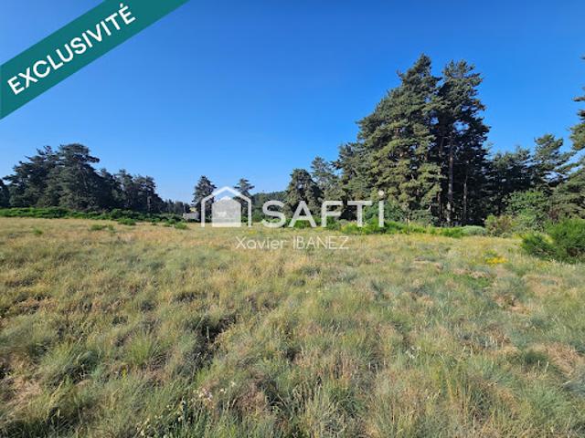 Vente Terrain constructible 10270 m2 Saint Chély d'Apcher