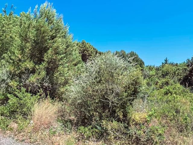 Vente Terrain constructible 1038 m2 Puget Ville