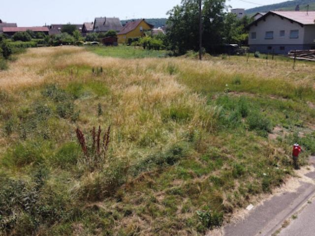 Vente Terrain constructible 1145 m2 Pfaffenheim