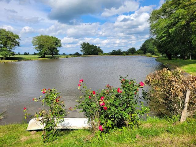Vente Terrain constructible 11531 m2 Huriel