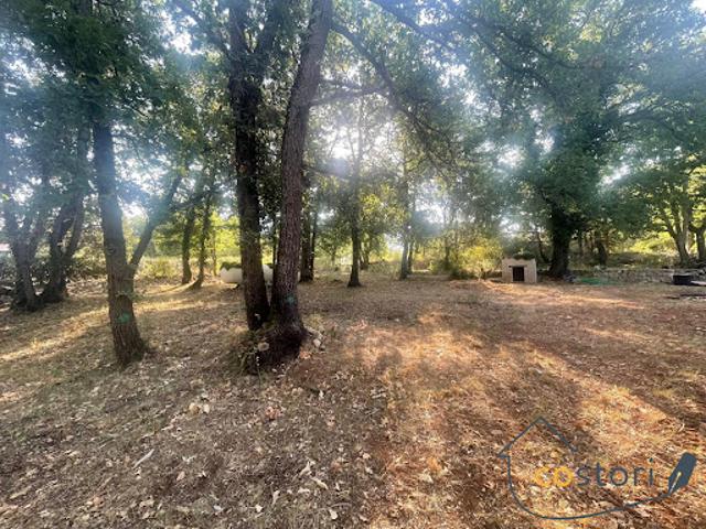 Vente Terrain constructible 1101 m2 Trans en Provence
