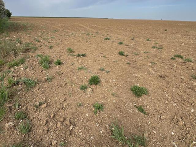 Vente Terrain constructible 1104 m2 Binas